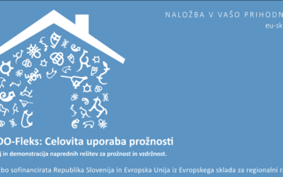 NEDO-Fleks: Celovita uporaba prožnosti